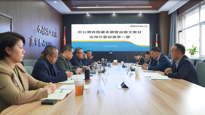杭荷兵副总经理出席运营集团2024年一季度经营分析会